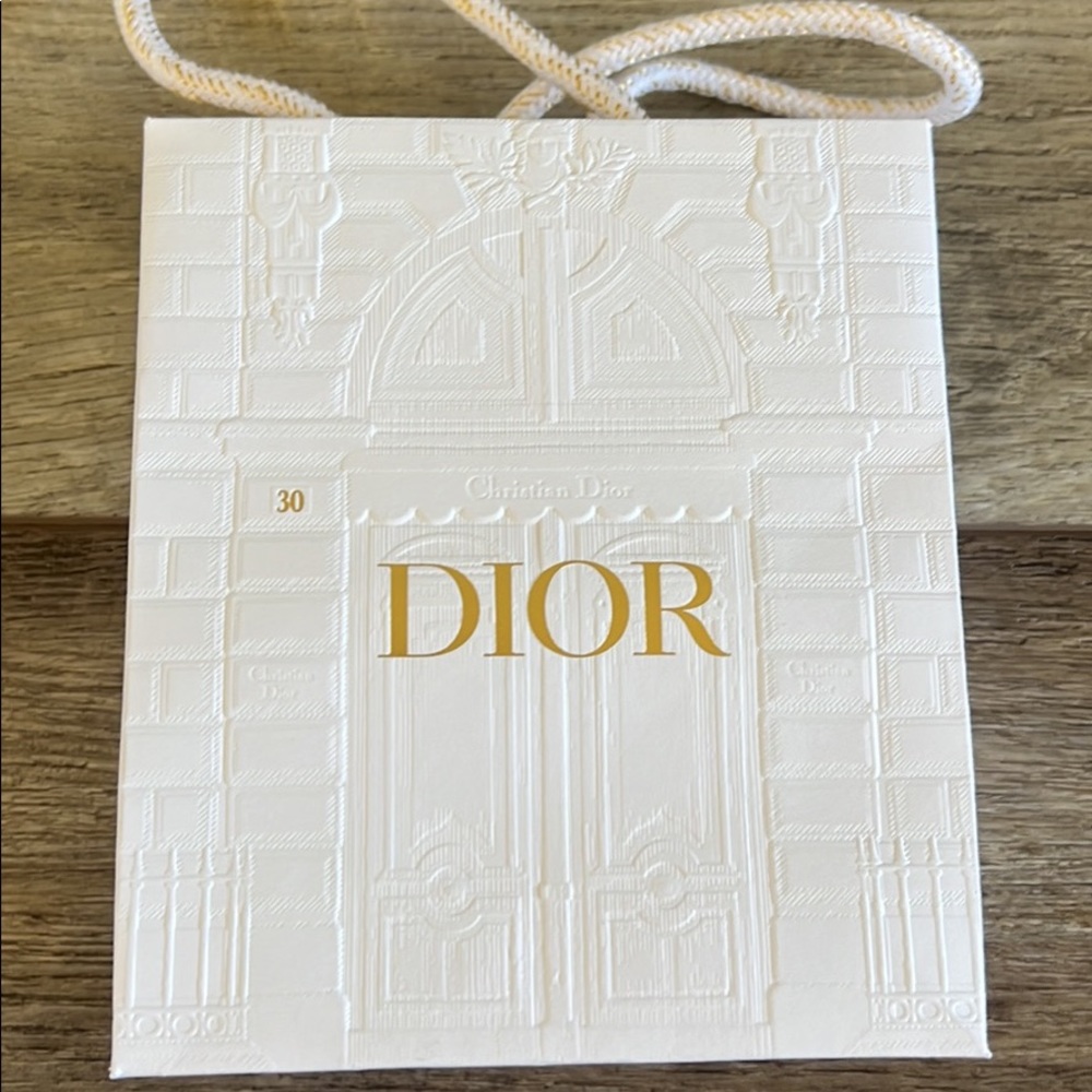 Dior shopping bag small